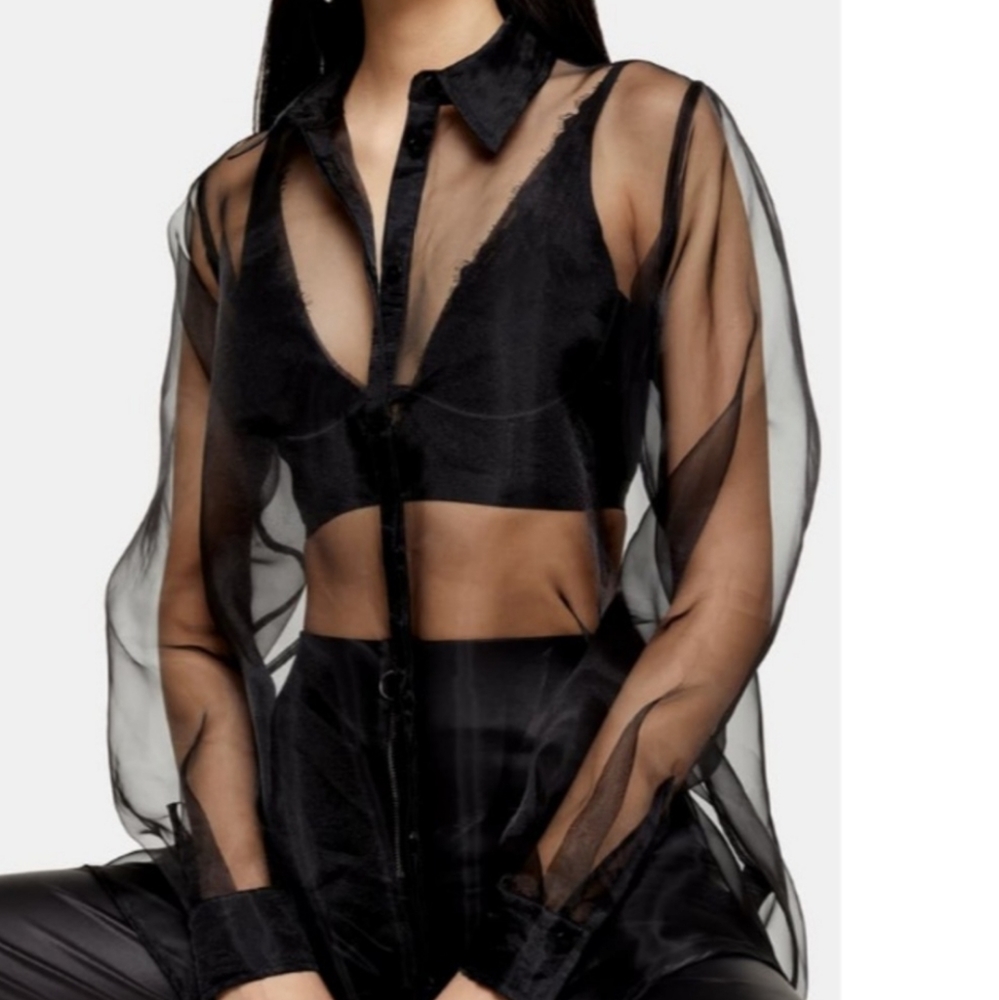 Topshop Organza Sheer Long Sleeve Top